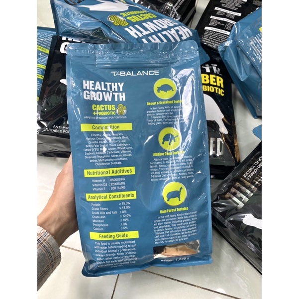 T Balance xương rồng 1kg