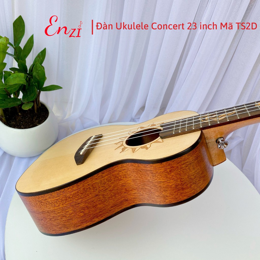 Đàn ukulele concert TS2D Enzi 23 inch gỗ mộc viền mặt trời khóa đúc giá rẻ cho bạn mới bắt đầu tập chơi
