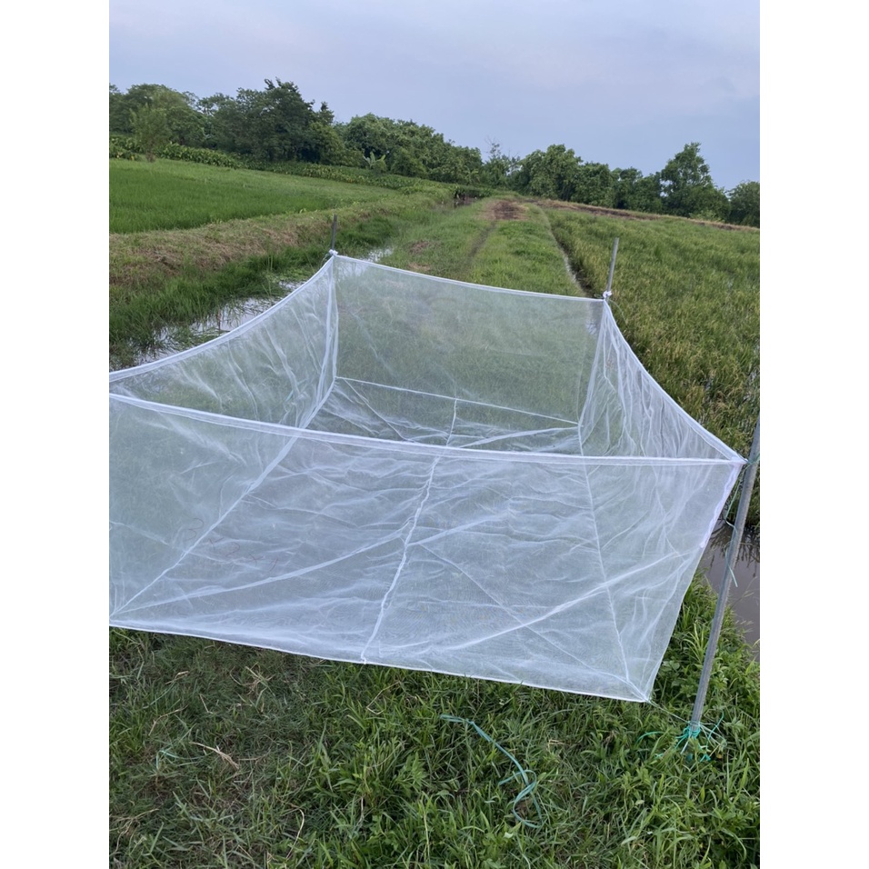 Tráng nuôi ốc nhồi , ốc bươu chuyên nghiệp có 19 kích thước lựa chọn