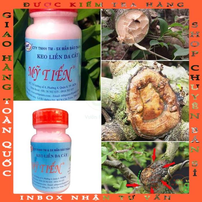 Keo liền da cây - Keo liền sẹo Mỹ Tiến lọ 100g vtrong