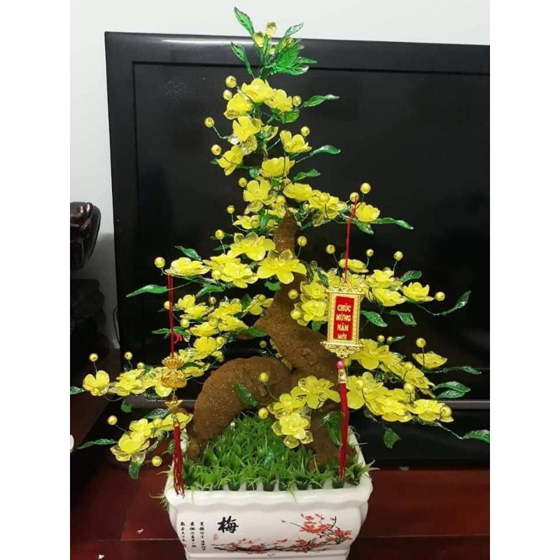 Gốc rồng làm cây mai cây đào đẹp