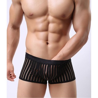 BOXER LƯỚI SỌC