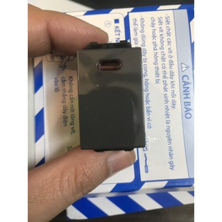 Hạt Công Tắc 20A Màu Đen ( hạt bình nóng lạnh) Wide Panasonic