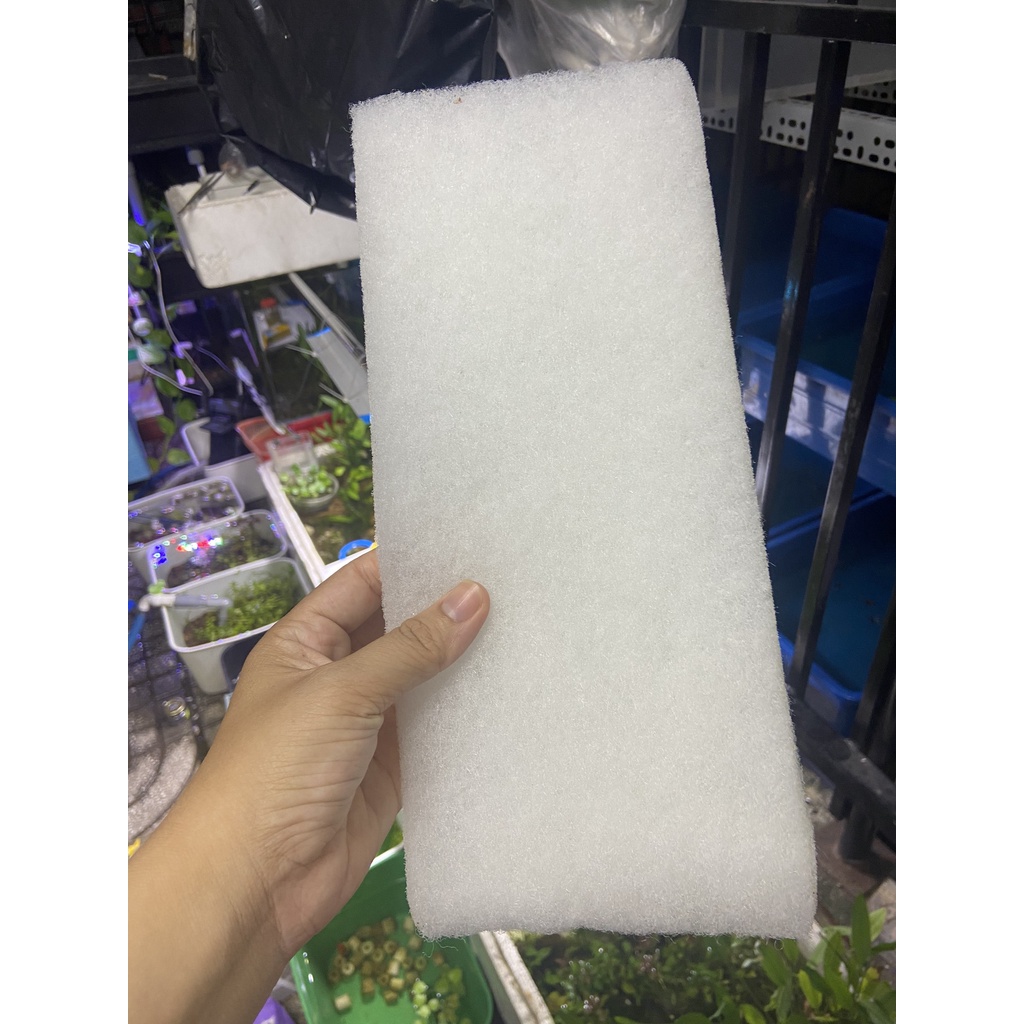 Bông lọc màu trắng cho hồ cá
