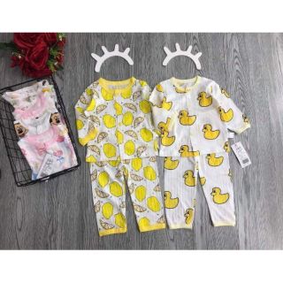 Combo 4b Cotton giấy