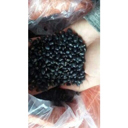 500g và 1kg Đỗ đen