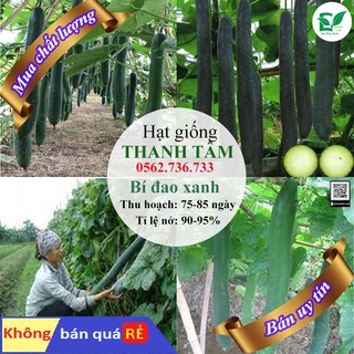 [ bán chạy ] hạt giống bí đao-1g (tặng kèm 20 hạt cải kale khủng long)
