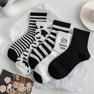 Tất bò sữa cao cổ ulzzang