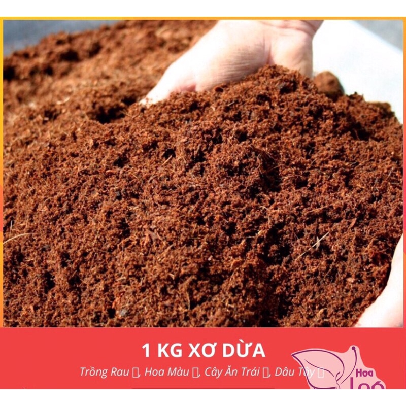 100g  Mụn xơ dừa đã qua xử lý, giá thể tròng cây trồng rau, chuyên dùng cho lan, giữ ẩm tạo độ tơi xốp cho đất, nảy mầm