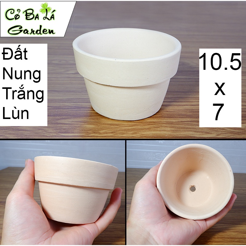 Chậu Đất Nung Lùn ,phù hợp trồng sen đá, xương rồng,và hệ cây mini