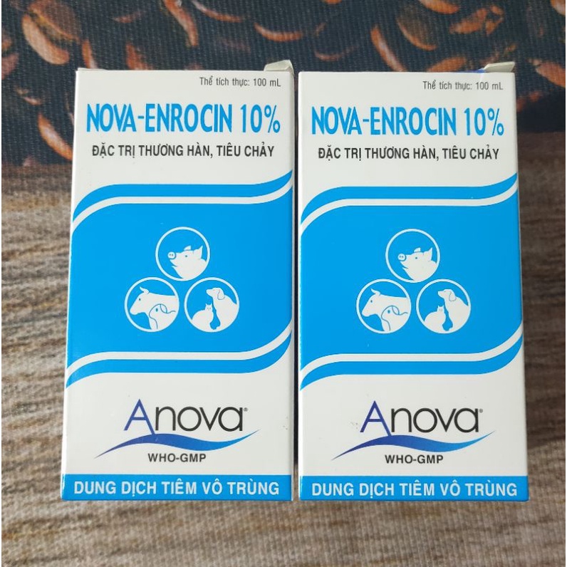 NOVA - ENRO 10% _ 100ml