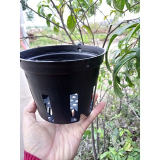 Set 50 chậu nhựa trồng lan giá rẻ - F16