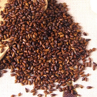 Thảo quyết minh 100g