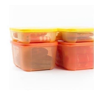 set bộ tupperware 4 món (700ml, 300ml) dành cho ngăn đông