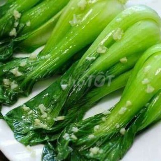 Hạt Giống Rau Cải Thìa