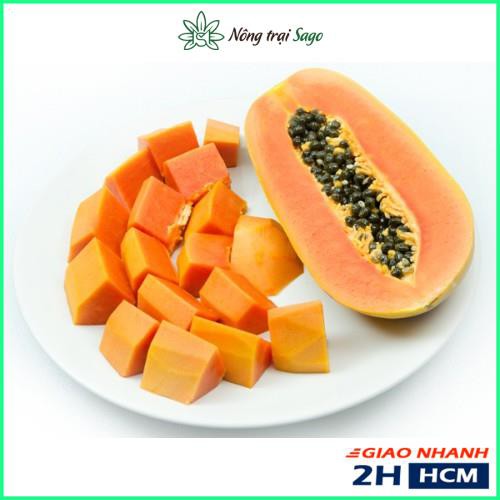 Hạt giông Đu Đủ Ruột Vàng F1 Vĩnh Tường, Trái To 1,5-2kg, Thu Hoạch Trong 2 Năm - Nông Trại Sago