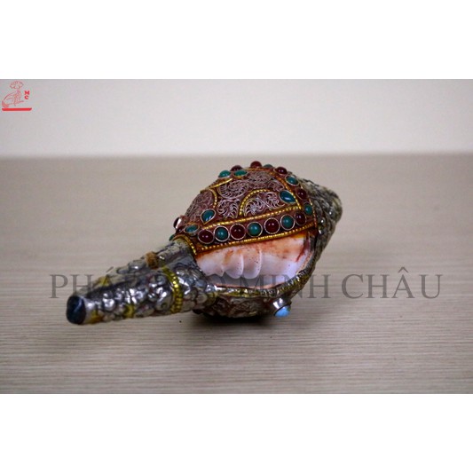 [PHÁP BẢO MINH CHÂU] ỐC BIỂN NEPAL BỌC ĐỒNG TO - VÀNG | PHÁP LOA