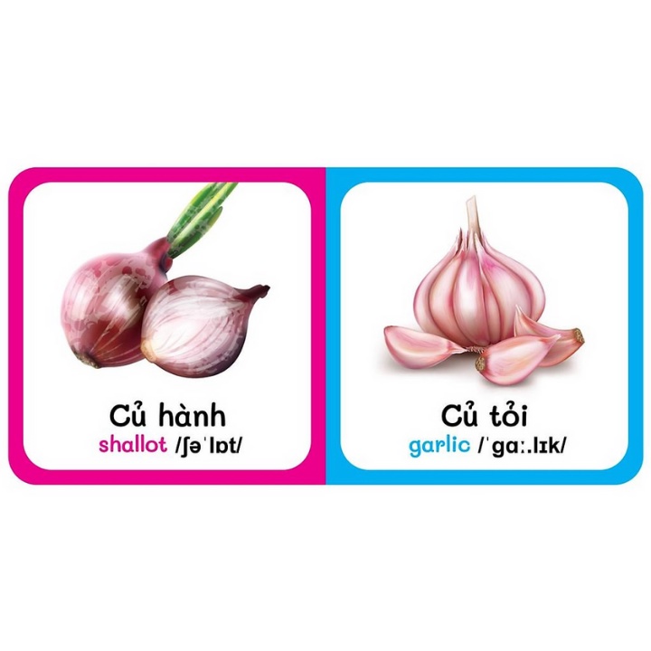 Sách - Từ Điển Bằng Hình Đầu Tiên Của Bé - Vegetables - Rau Củ (Song Ngữ Anh - Việt)