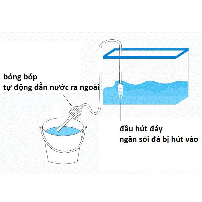 Bơm Tay Hút Đáy Giá Siêu Rẻ | Dụng Cụ Thay Nước Bể Cá Cảnh Thuỷ Sinh