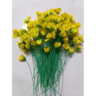 Set 100g nụ lá búp hoa mai ngày tết