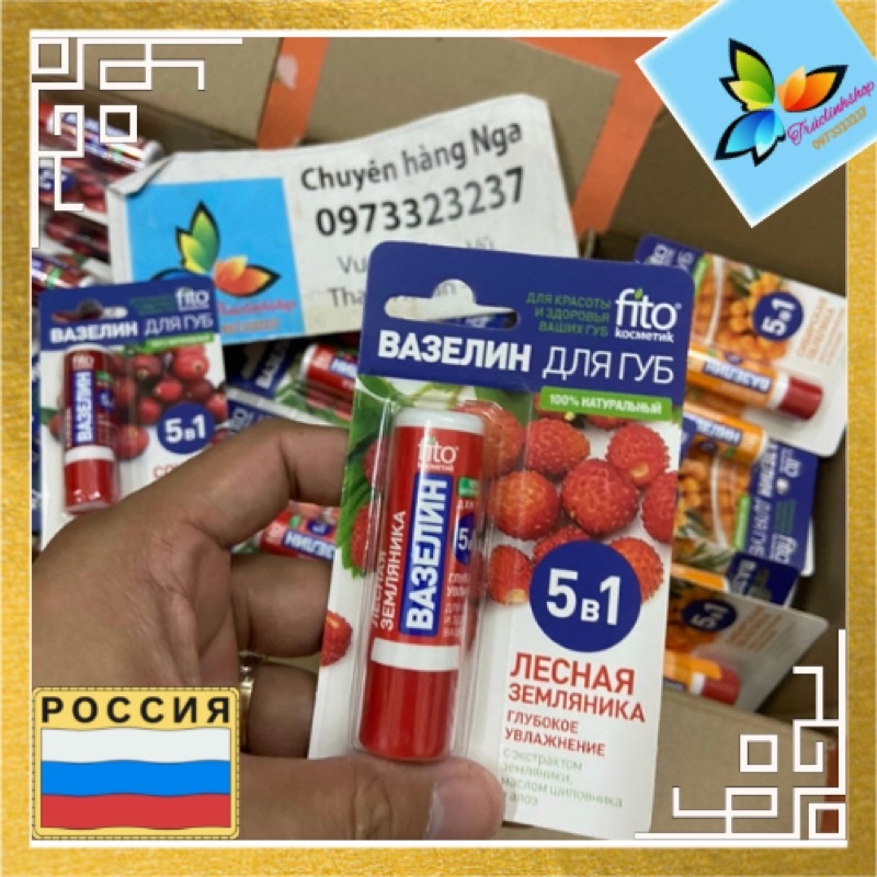 Son dưỡng môi trái cây vaseline fito 5 in 1 Nga 4,5 gr
