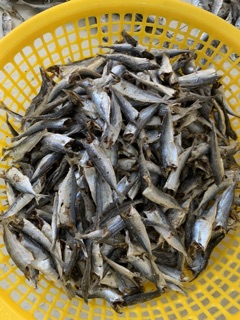 CÁ NỤC GAI KO ĐẦU HẤP KHÔ