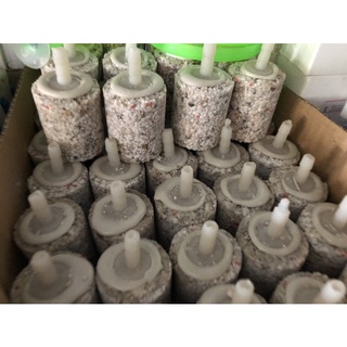 Quả sủi khí Oxy loại tốt
