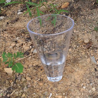Phễu đo lượng mưa Cone rain gauge Measurement