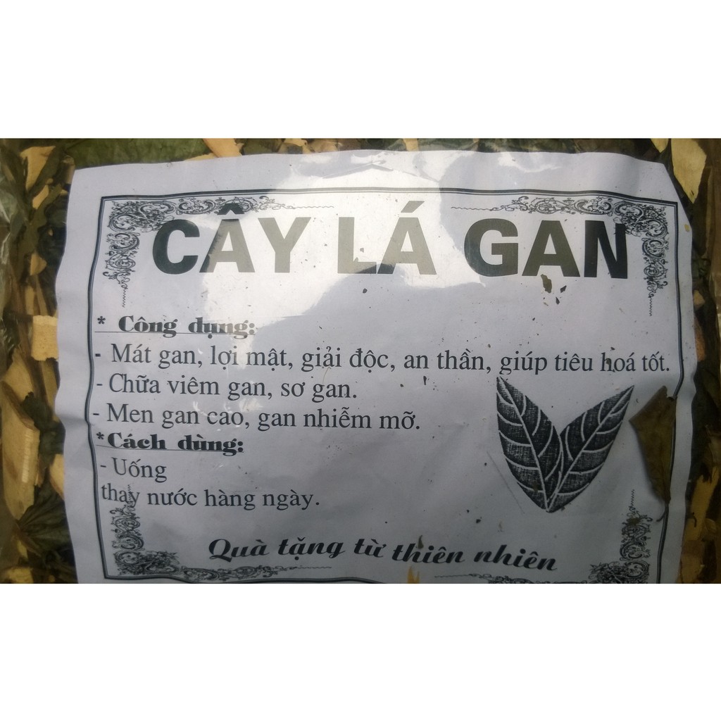 Cây lá gan túi 1 kg