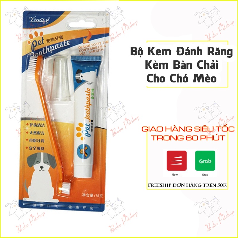 Bộ Bàn Chải Kèm Silicon Ngón Tay Và Kem Đánh Răng Cho Chó Mèo Giúp Chống Hôi Miệng Chắc Khỏe Răng - Bobo Pet Shop Hà Nội