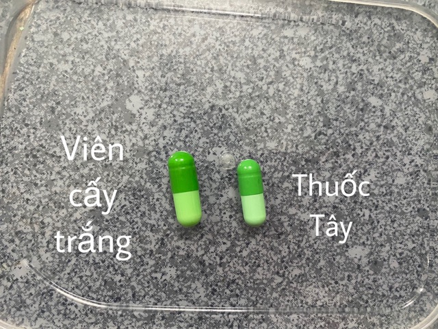 Lẻ 1 viên cấy trắng K-white