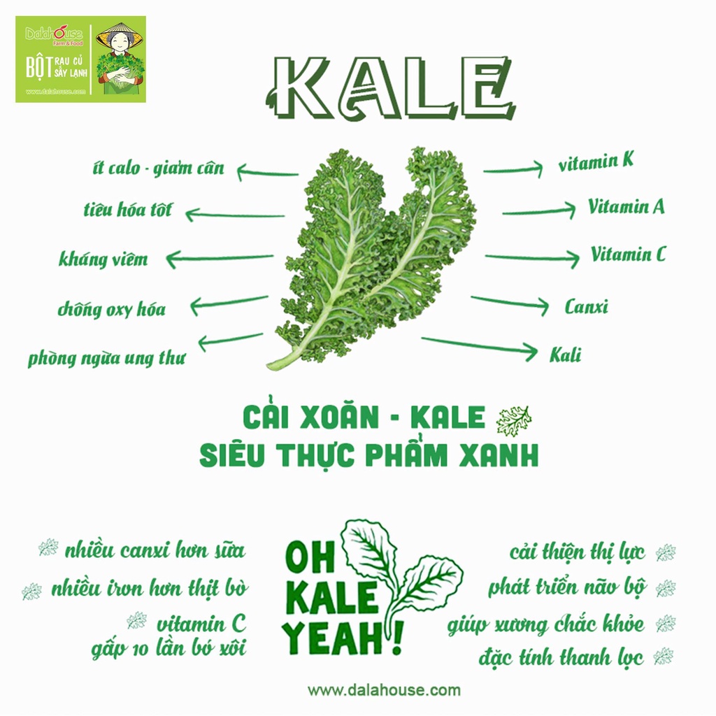 Bột Cải Xoăn Kale Sấy Lạnh Organic Dalahouse Lon 120g Đạt Tiêu Chuẩn Châu Âu