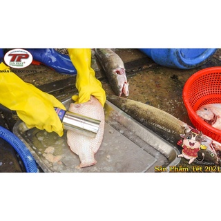 MÁY ĐÁNH VẢY CÁ BẰNG ĐIỆN