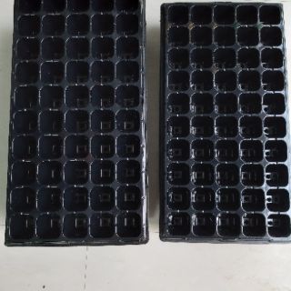 10 Khay Ươm Cây Giống 50 lỗ