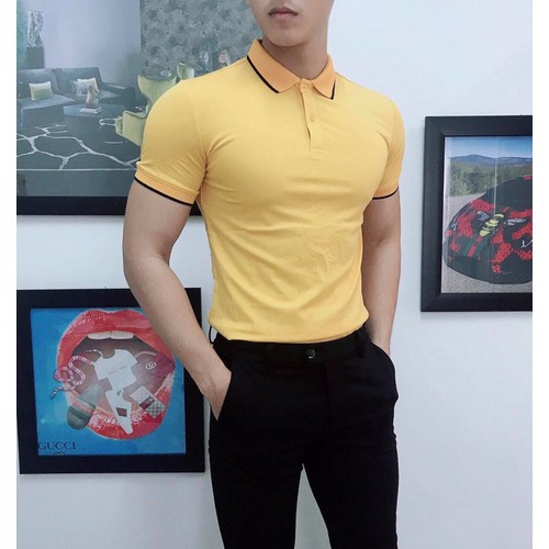 [FREESHIP 50K] Áo phông nam ngắn tay cổ bẻ phối viền chất cá sấu mềm mịn thấm hút mồ hôi - AP002