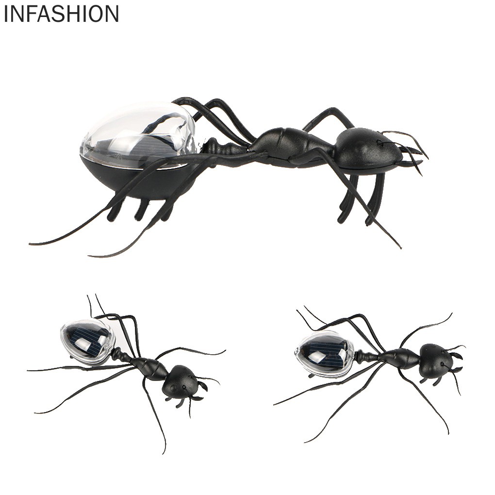 Con Gián Đồ Chơi Sử Dụng Năng Lượng Mặt Trời Cho Bé