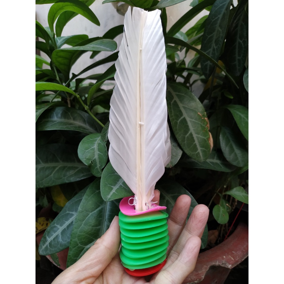 Cầu Đá Lông Gà Hiệp Thành AAA