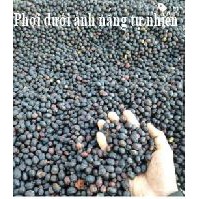 cà phê sạch, nguyên chất, rang mộc robusta 500g | BigBuy360 - bigbuy360.vn