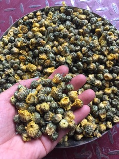 Sỉ combo 1 kg cúc kim cương