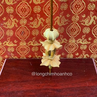 Bộ Bầu Bí Nậm Lồng Khuyên Bố Lủng