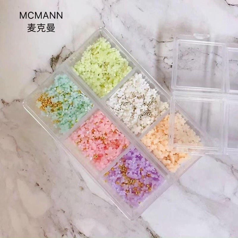 Hoa nhí mix bi “nhặt random màu deal sốc”