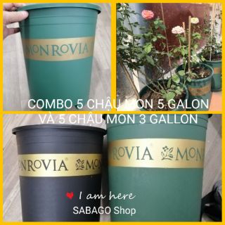 COMBO 5 chậu nhựa Monrovia 5 GL và 5 chậu Monrovia 3 Gallon hàng VN chất lượng
