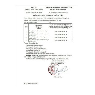 Cà gai leo trà túi lọc 250g