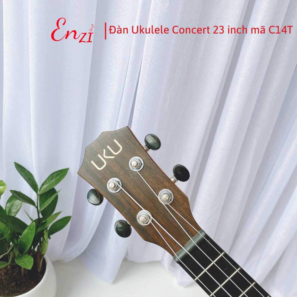 Đàn ukulele concert size 23 mã đàn C14T Enzi màu trắng ngà thiết kế độc đáo, âm thanh vang sáng cho bạn mới