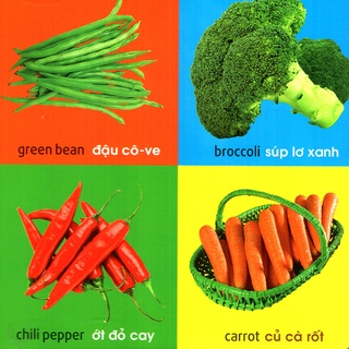 Sách - 101 First Words - Plants (101 Từ Đầu Tiên - Thực Vật)