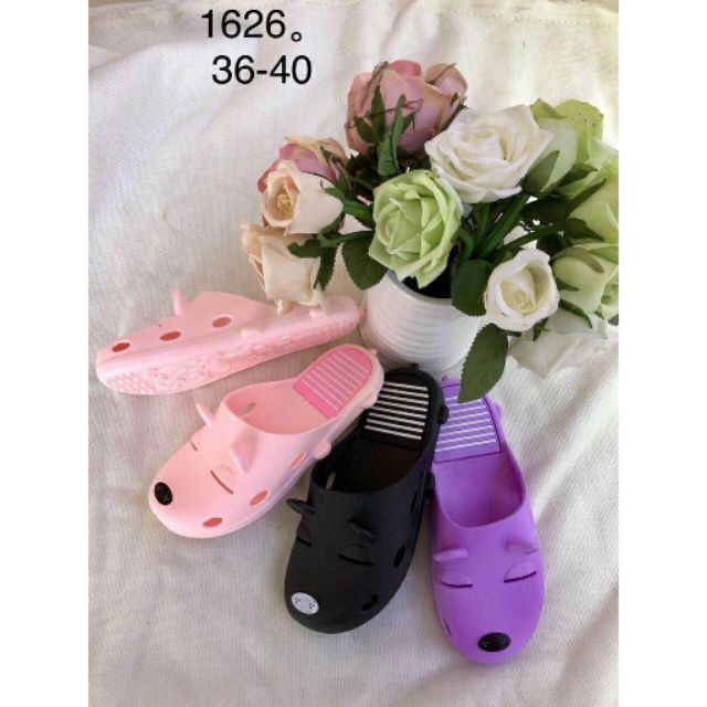 Combo 10 đôi sục chó chọn size