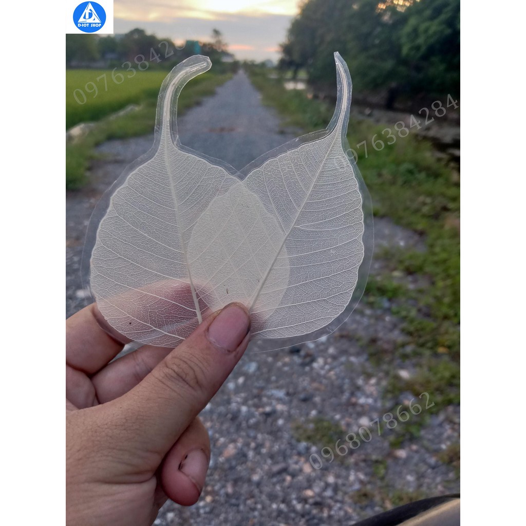 Lá bồ đề ép - ốp điện thoại