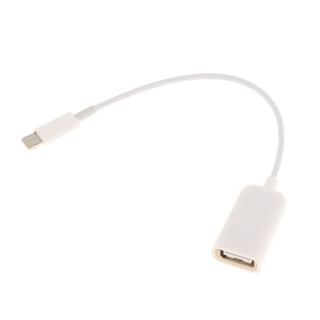USB Female OTG Adapter Cable Connect Convert Lead for Ipad iPhone Below 10.3 | BigBuy360 - bigbuy360.vn