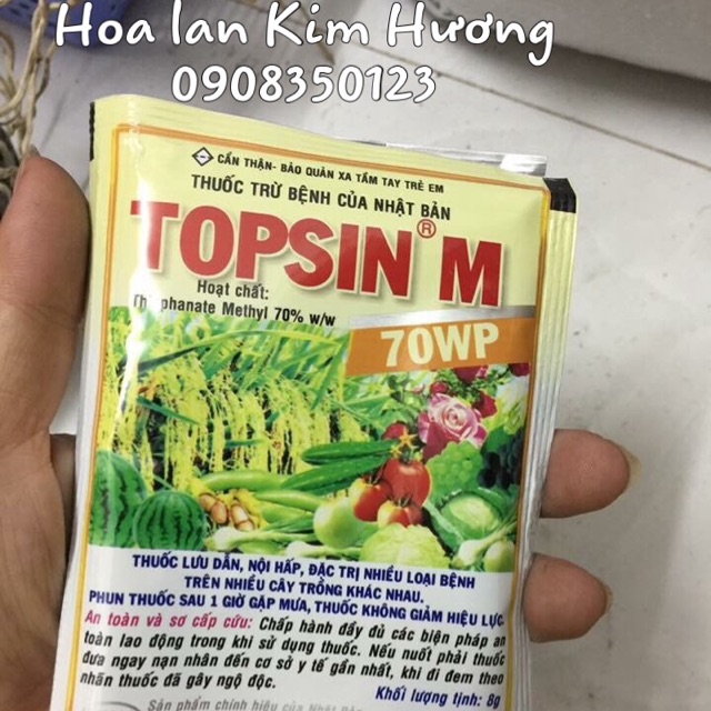 Thuốc trị bệnh cho phong lan Topsin M 8g