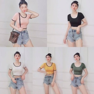 Áo phông croptop cổ U phối viền